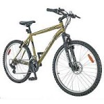ccm-scout-gold-mountain-bike.jpg